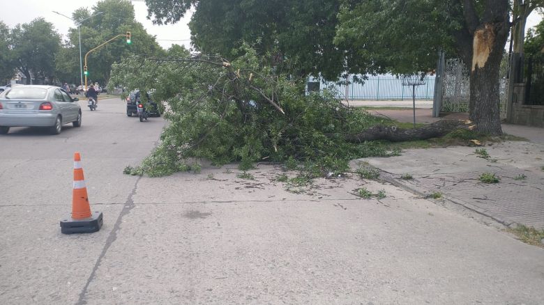 La tormenta que pasó por la ciudad afectó con intensidad a barrio Alberdi