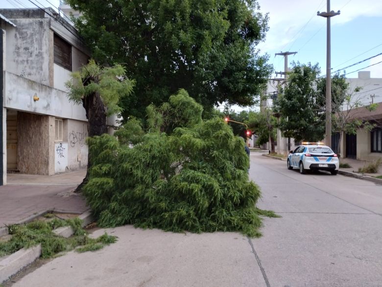 La tormenta que pasó por la ciudad afectó con intensidad a barrio Alberdi