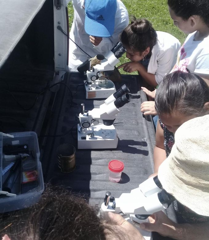 Investigadores y estudiantes utilizan insectos para monitorear el agua