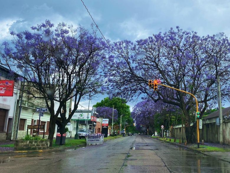 La inestabilidad continúa y la semana que viene llega una onda de calor