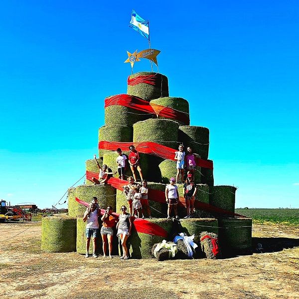 El gigante árbol de navidad realizado en el campo argentino