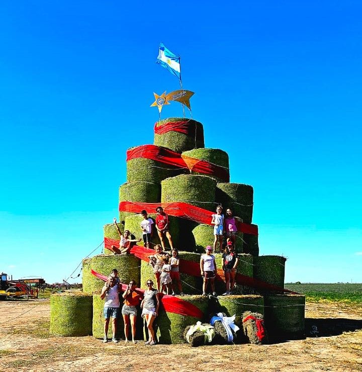 El gigante árbol de navidad realizado en el campo argentino