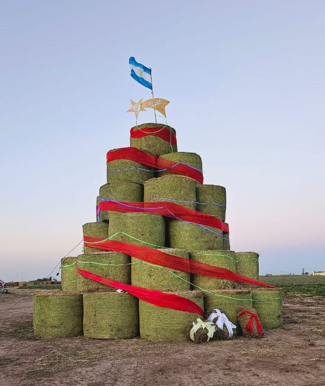 El gigante árbol de navidad realizado en el campo argentino