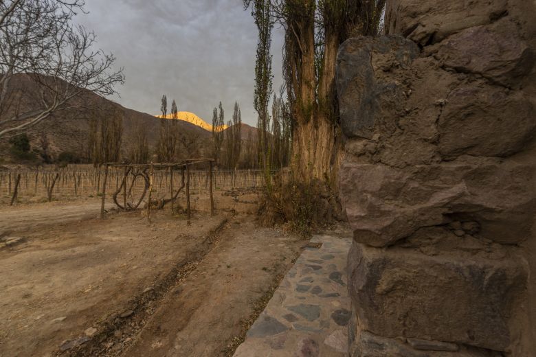 Casa Mocha, un proyecto que encierra una historia maravillosa del norte argentino