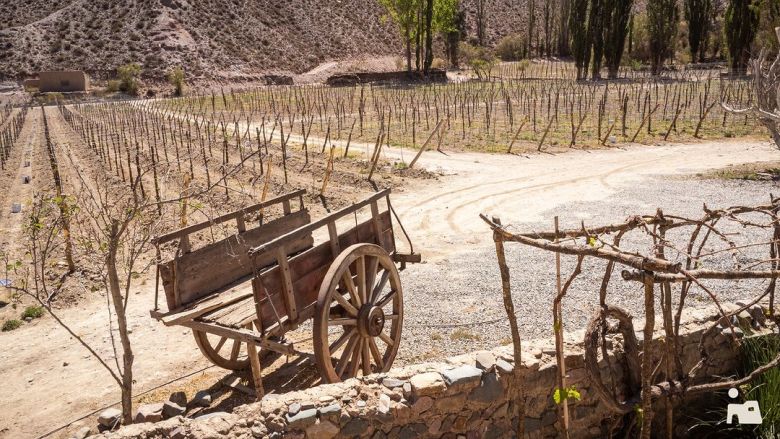 Casa Mocha, un proyecto que encierra una historia maravillosa del norte argentino