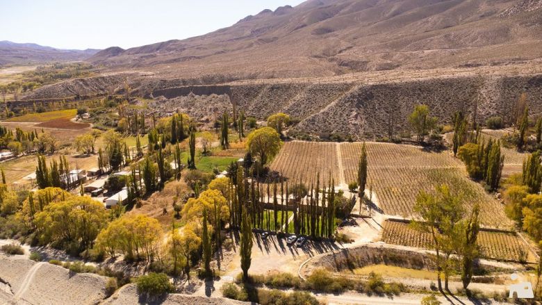 Casa Mocha, un proyecto que encierra una historia maravillosa del norte argentino