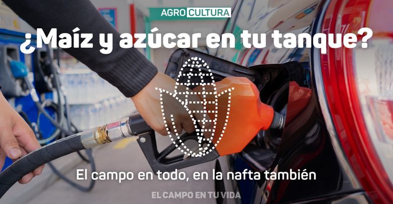 ¿Sabías que cuando cargás nafta le estás poniendo maíz y azúcar a tu tanque?