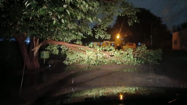 Fuertes tormentas hicieron destrozos en la ciudad