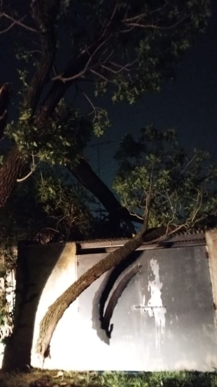 Fuertes tormentas hicieron destrozos en la ciudad