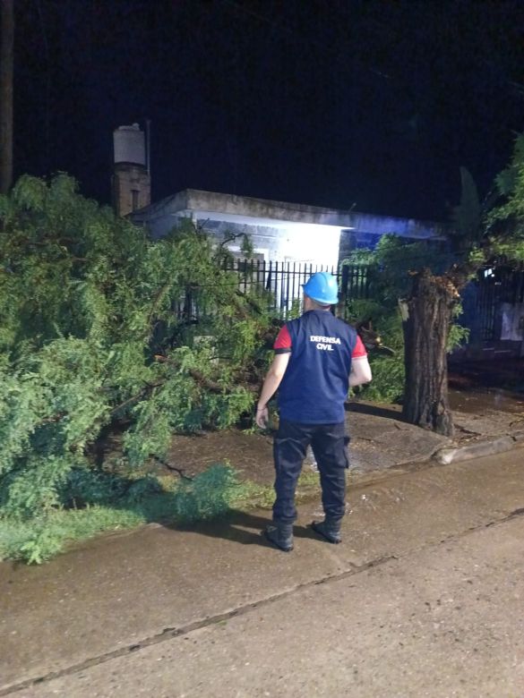 Fuertes tormentas hicieron destrozos en la ciudad