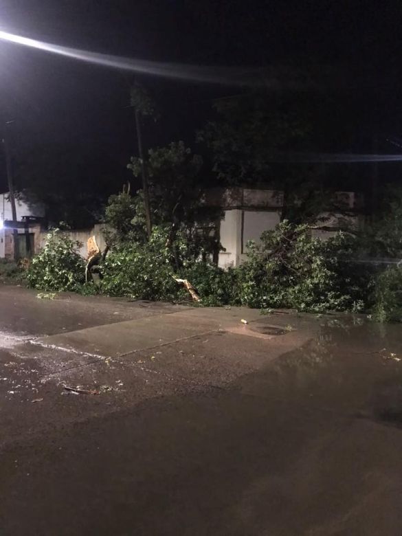 Fuertes tormentas hicieron destrozos en la ciudad