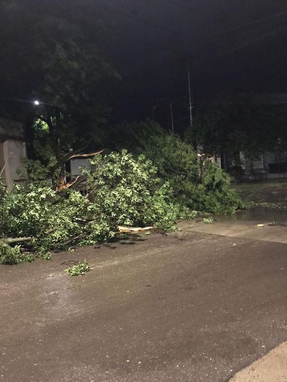 Fuertes tormentas hicieron destrozos en la ciudad