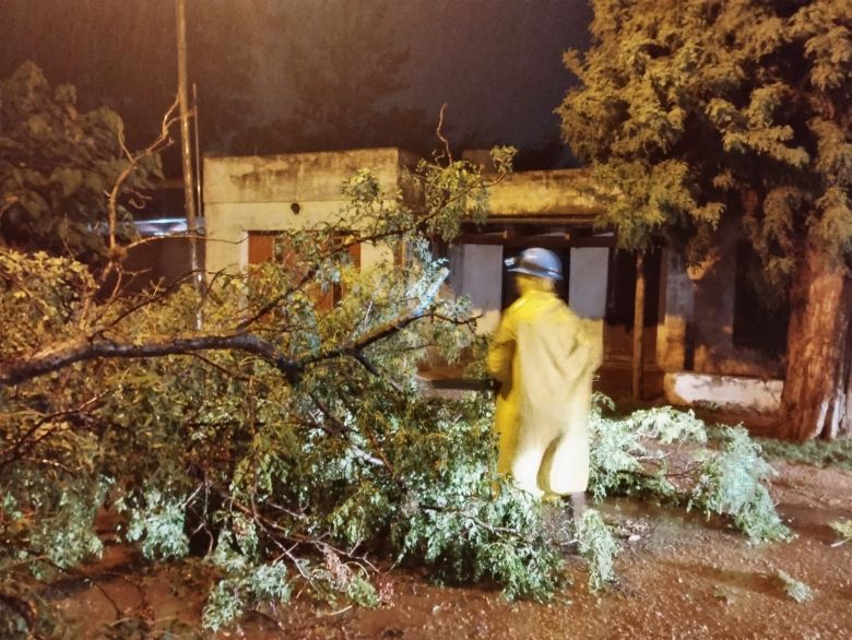 Fuertes tormentas hicieron destrozos en la ciudad