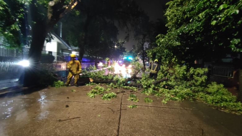 Fuertes tormentas hicieron destrozos en la ciudad