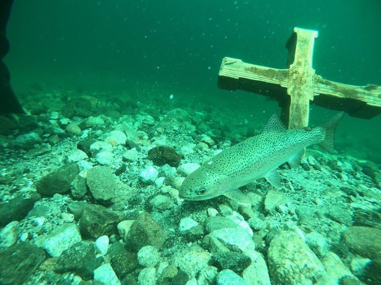 Buceo bajo hielo en Caviahue, una novedosa actividad que devela misterios sumergidos en el agua