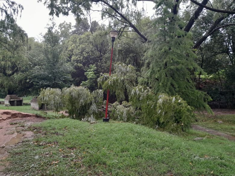 El Chacay sufrió una fuerte tormenta el último fin de semana