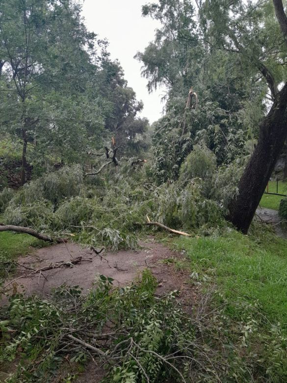 El Chacay sufrió una fuerte tormenta el último fin de semana