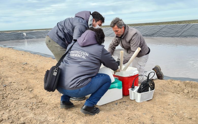 “Espárragos de mar” para la gastronomía: un desarrollo productivo con perspectiva ambiental