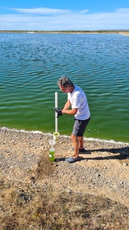 “Espárragos de mar” para la gastronomía: un desarrollo productivo con perspectiva ambiental