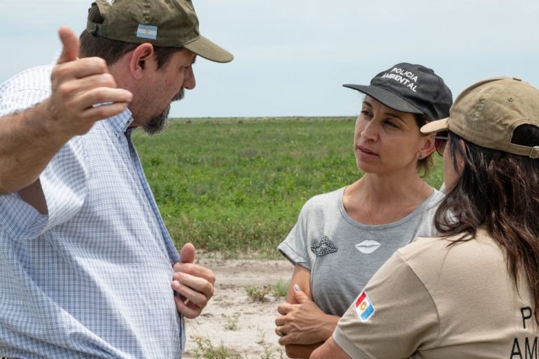 Conservación: tras ser rehabilitado fue liberado un aguará guazú