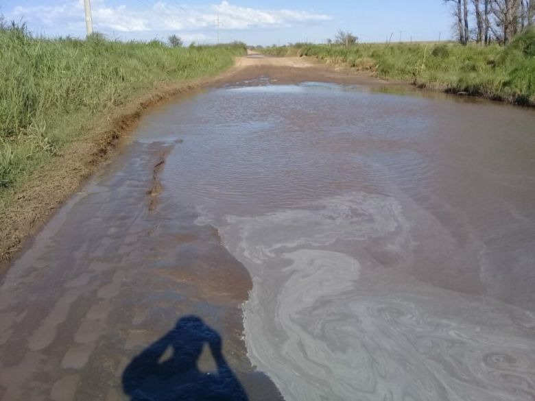 Los productores deben contener y sistematizar el agua dentro de sus campos 