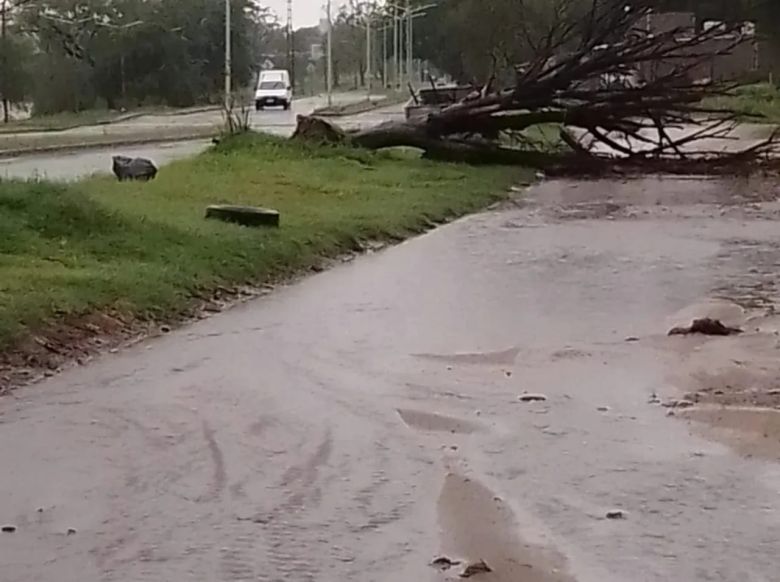 Llaryora dispuso utilizar el Fondo Permanente para Atención de Situaciones de Desastre