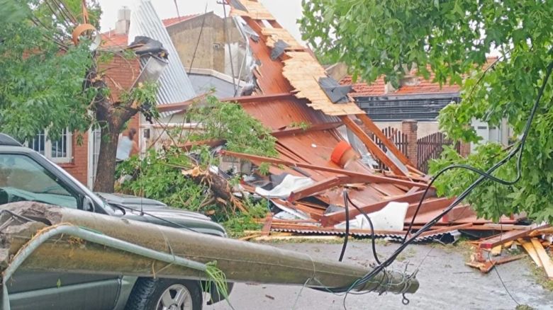 Temporal en Miramar: un joven de 18 años falleció tras la caída de un árbol 