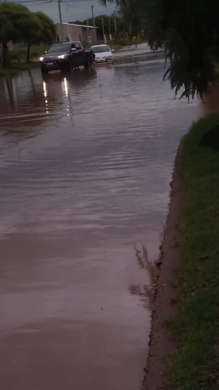 La tormenta de lluvia y viento provocó importantes daños en el sur de la provincia