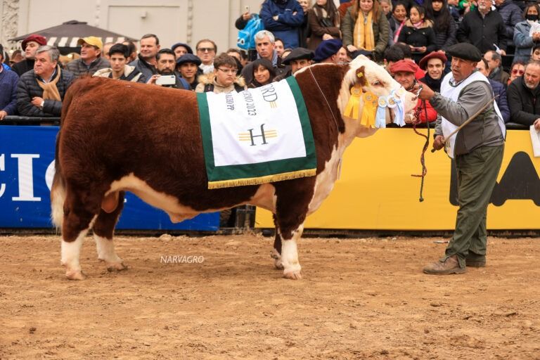 Hereford prepara múltiples festejos para su Centenario 