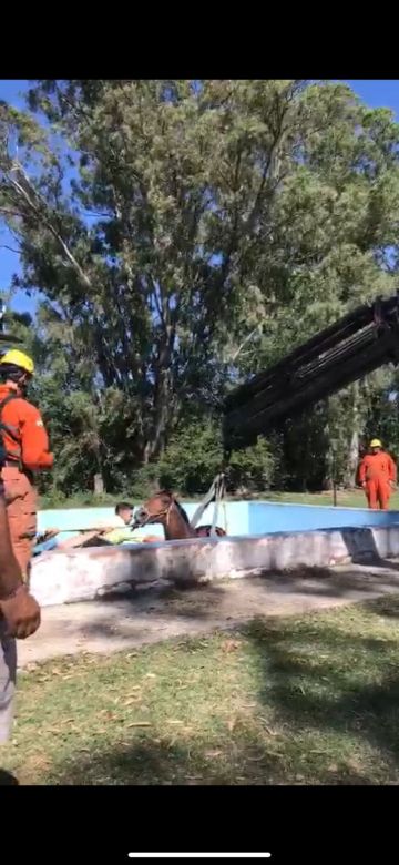 Con la utilización de una grúa, bomberos de Sampacho rescataron una yegua que había caído a una pileta