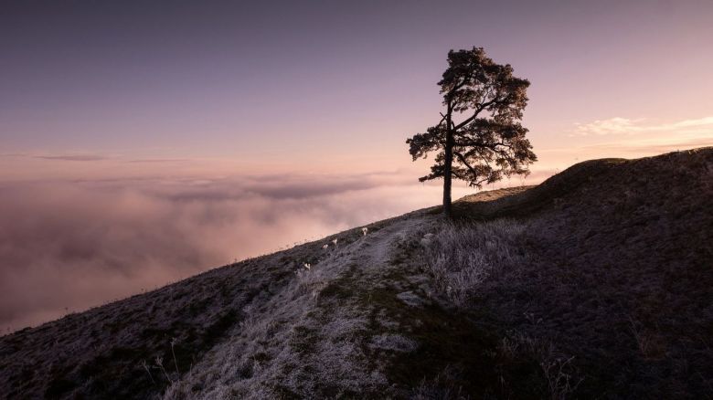 Solitario en el abismo