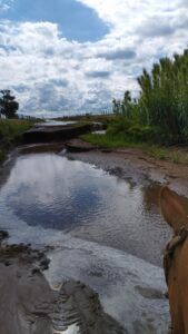 “Todos somos culpables”: un productor le pide a sus pares sistematizar los campos para evitar inundaciones