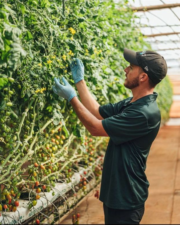 Un joven argentino emprendió en la producción hidropónica y llevó su experiencia a Hawaii