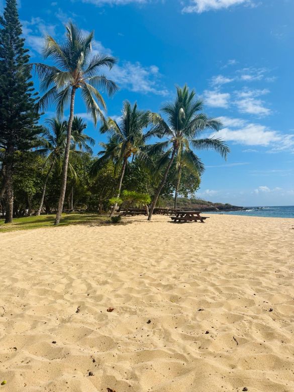 Un joven argentino emprendió en la producción hidropónica y llevó su experiencia a Hawaii