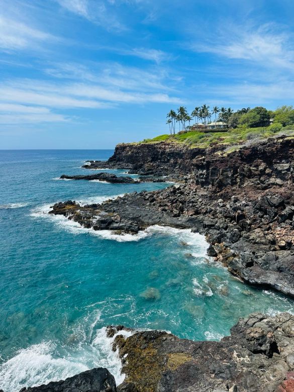 Un joven argentino emprendió en la producción hidropónica y llevó su experiencia a Hawaii