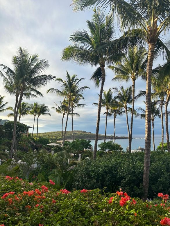 Un joven argentino emprendió en la producción hidropónica y llevó su experiencia a Hawaii