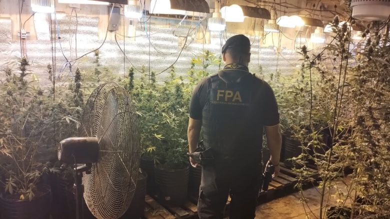 Córdoba: FPA secuestró más de 11 kilos de marihuana 