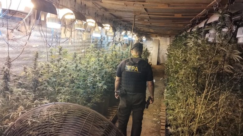 Córdoba: FPA secuestró más de 11 kilos de marihuana 