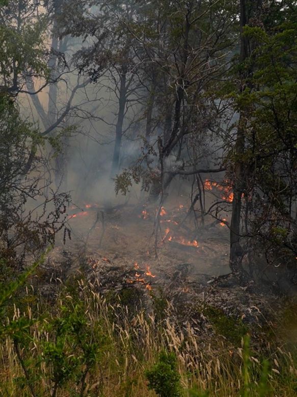 Tras varios días de intensos operativos, se logró controlar el incendio en “Los Alerces”