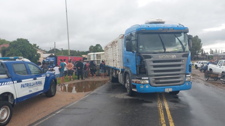 Impacto sanitario y ético tras el accidente con transporte de carne en Río Cuarto