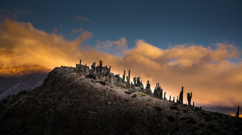 Alta en el cielo 