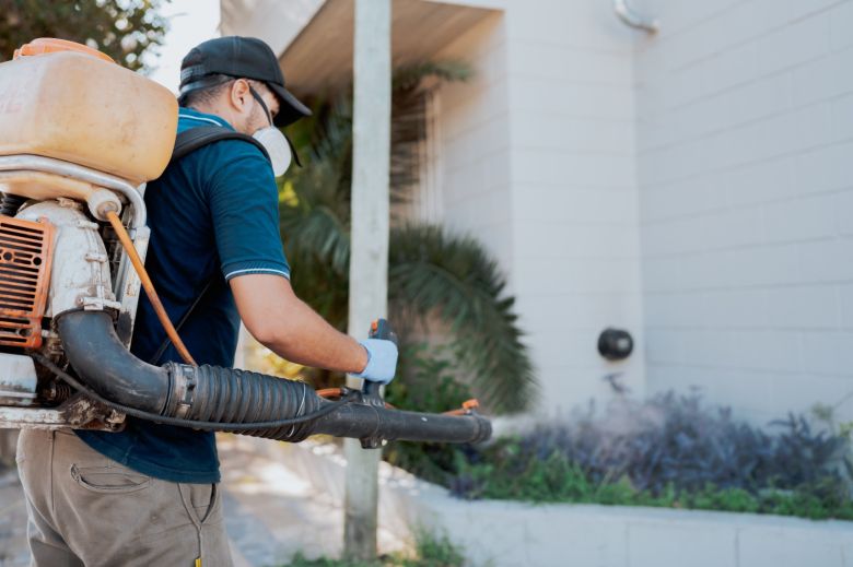 Fumigación contra el mosquito en el sector norte y sur de la ciudad