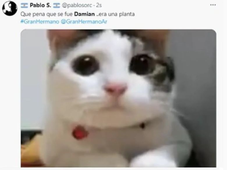 Damián quedó eliminado de Gran Hermano 2023 y estallaron los memes