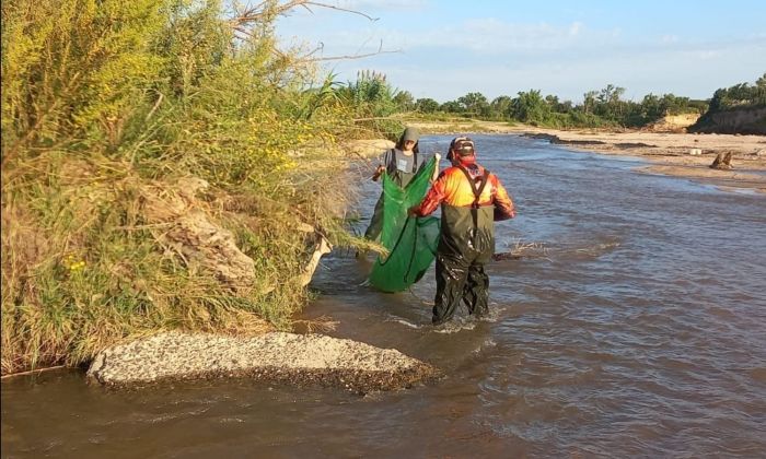 Estiman que hay más de 17 especies de peces en las aguas del lago Villa Dalcar