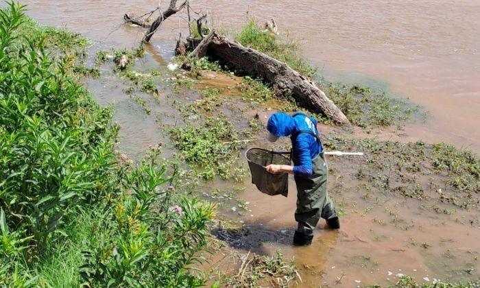 Estiman que hay más de 17 especies de peces en las aguas del lago Villa Dalcar