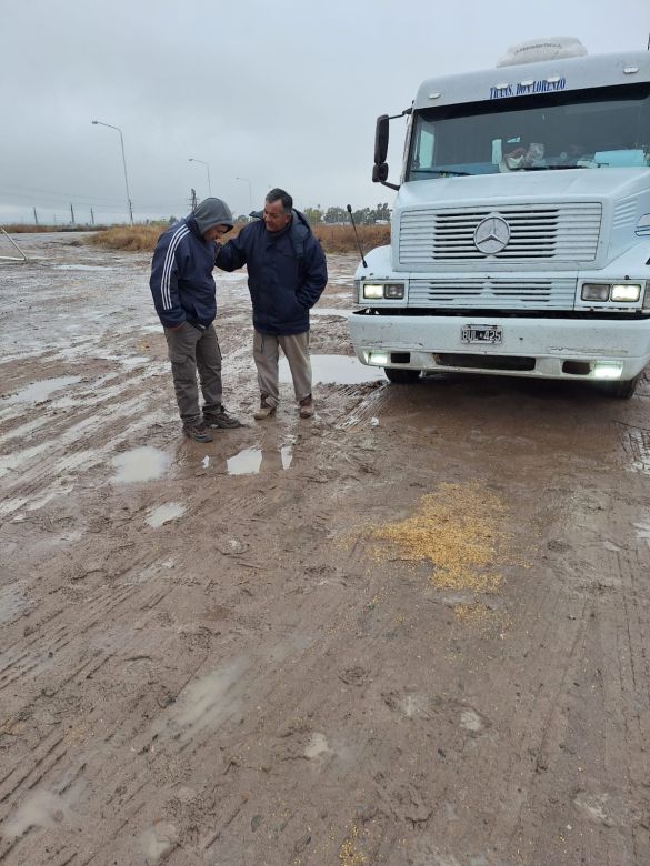 Camioneros que cargaron maíz en Huinca Renancó están varados en Bahía Blanca porque el acopiador agregó tierra