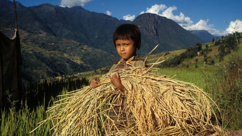 Encuesta de UNICEF: un millón de niños y adolescentes saltean una comida al día por falta de recursos