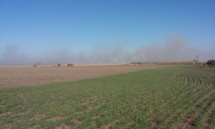 Bomberos tuvieron 9 intervenciones en cinco horas por incendios