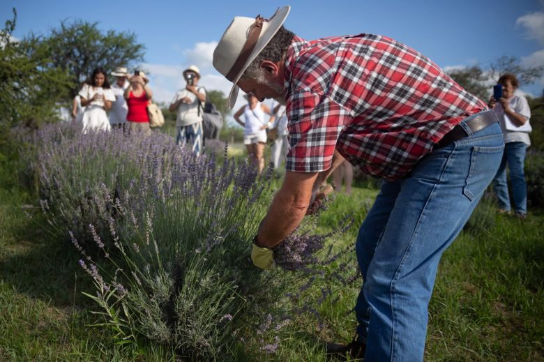 Aromaherba: un mundo de sensaciones detrás de los aromas