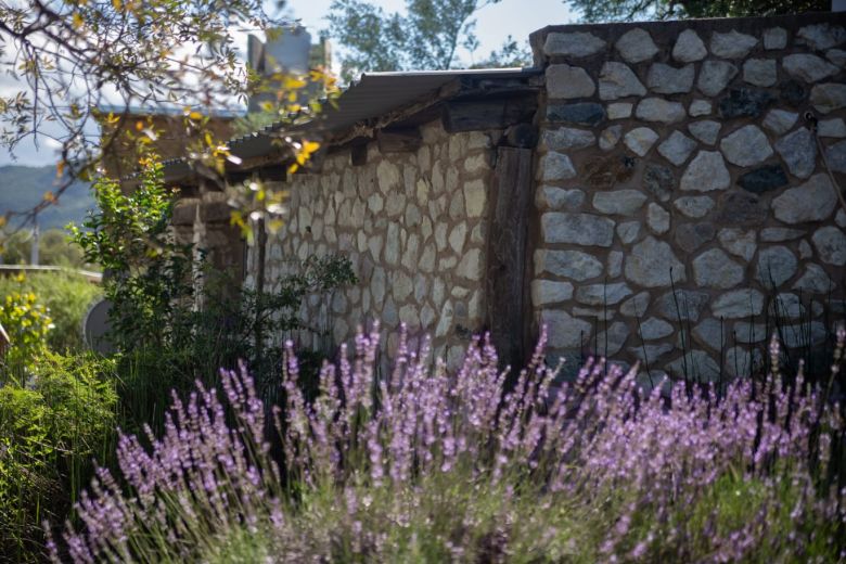 Aromaherba: un mundo de sensaciones detrás de los aromas